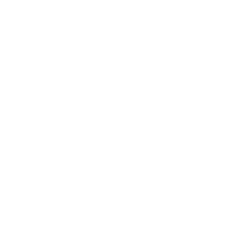 Audience Award (Runner Up) – Sydney Film Festival 2019